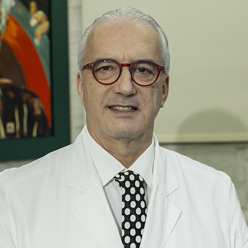 Afonso Pinhão Ferreira (Biomecânica / Debate)